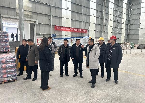 國家礦監局楊凌云副司長一行蒞臨大業礦山調研指導